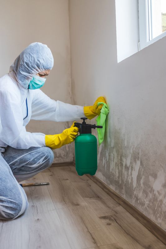 Mold Prevention and Removal